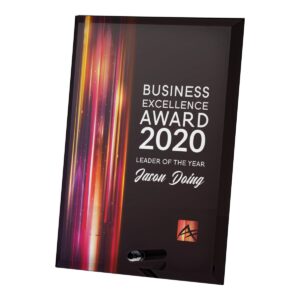 Statuetka szklana M51 Business Award