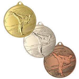Medal metalowy MMC4509 - Karate
