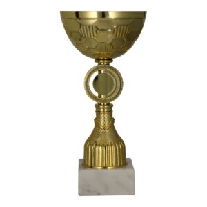 Złoty puchar 9291