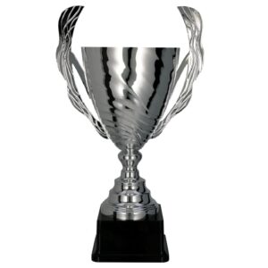 Srebrny puchar metalowy 2101