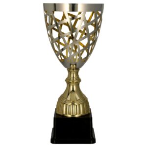 Srebrno-złoty puchar 3163