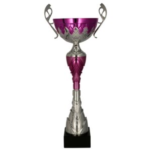 Srebrno-fioletowy puchar 7257