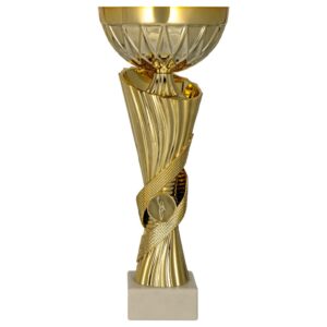 Złoty puchar 9293