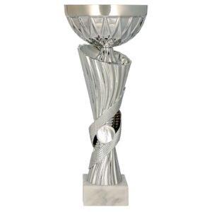 Srebrny puchar 9294